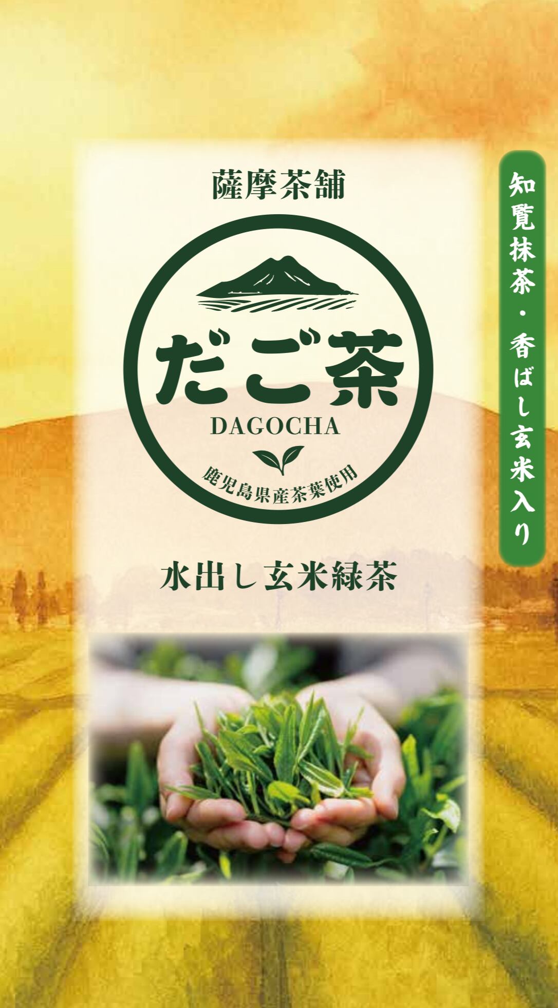 水出し玄米緑茶